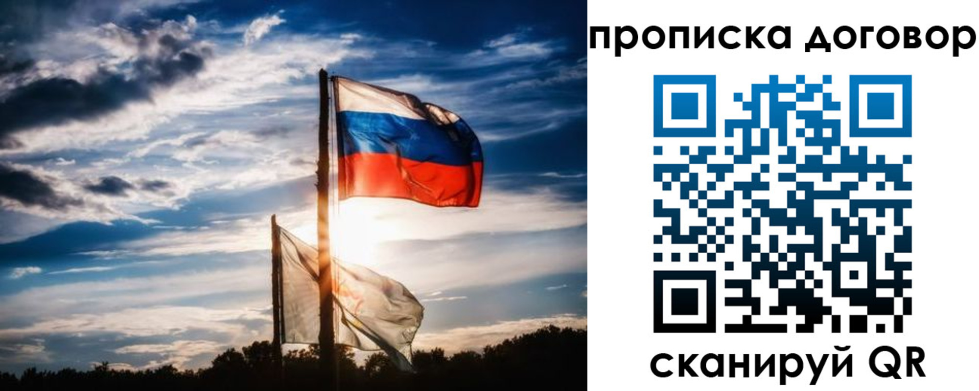 временная регистрация гарантия в Курске